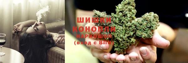 трава Белокуриха