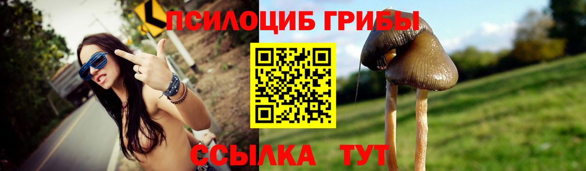 Галлюциногенные грибы Psilocybe Воткинск